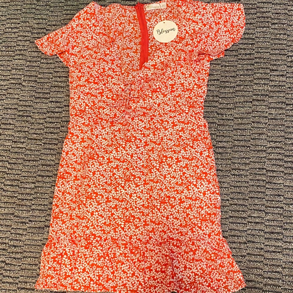 Sun chaser mini dress red print